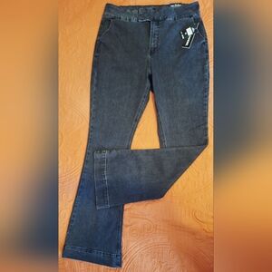 NWT Zoe + Phoebe High Rise Slim Bootcut Jeans - Black Wash - Size 14